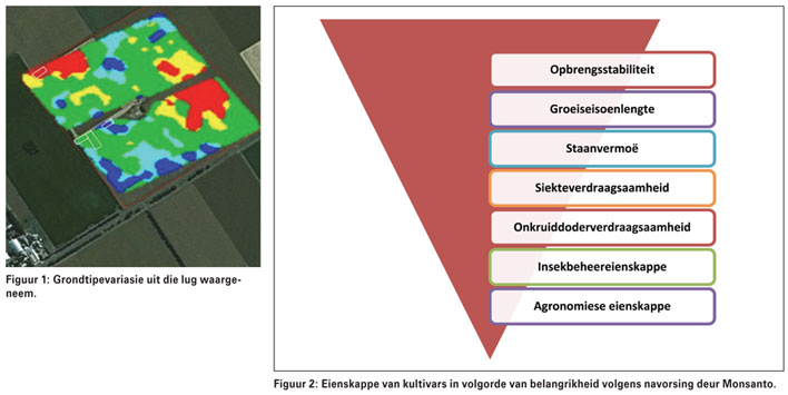 KULTIVARKEUSE: Hoe om die regte een te kies