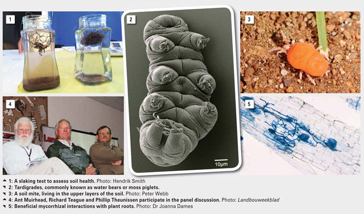 Valuable info shared at the 2015 KwaZulu-Natal No-till Conference