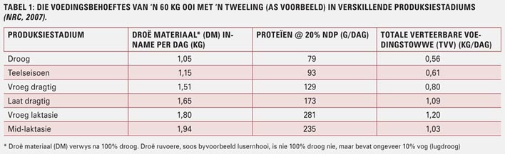 Riglyne vir voeding by intensiewe lamstelsels