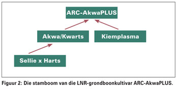 Nuwe LNR-grondboonkultivars beskikbaar