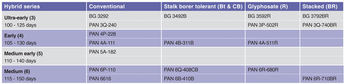 PANNAR: Maize hybrids for silage