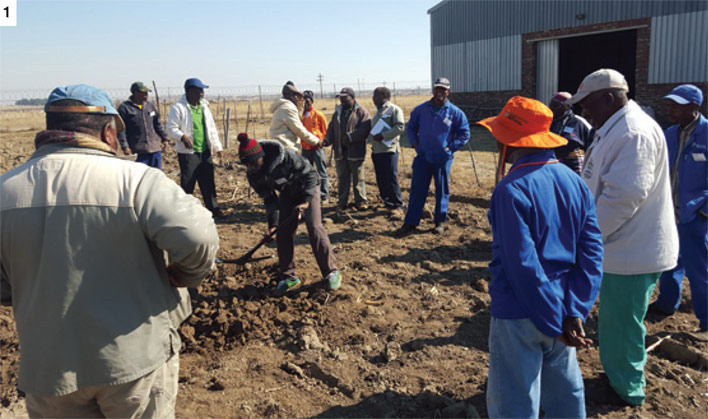 Maize Trust enables training for more than 1 000 farmers