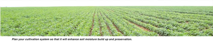 Do your soybeans a favour with moisture conservation