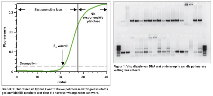 Die interessante navorsingsveld van molekulere biologie bekyk