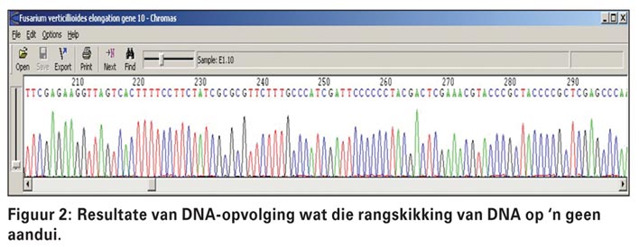 Die interessante navorsingsveld van molekulere biologie bekyk