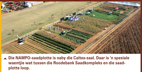 NEEM 'N INGELIGTE besluit by saadplotte