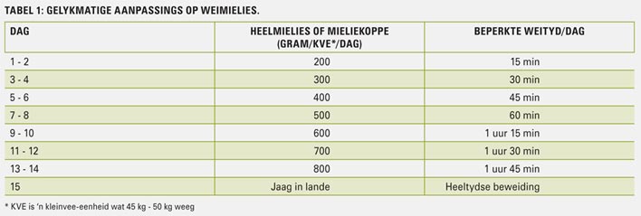 Aanpassing van die diere