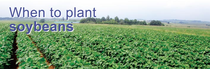 When to plant soybeans