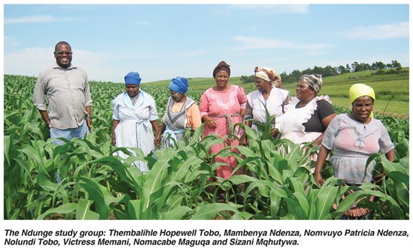 Partnership to promote commercial grain production