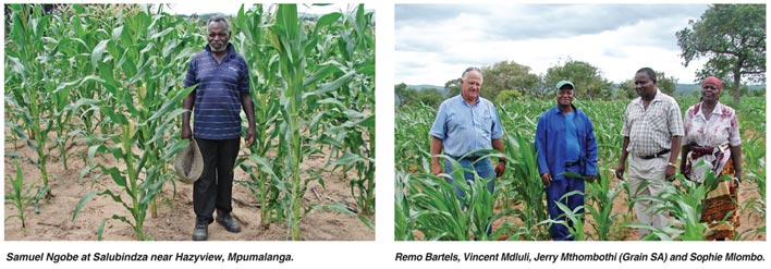 Partnership to promote commercial grain production