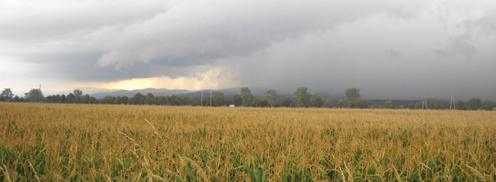 Keep rainfall records to reduce risk