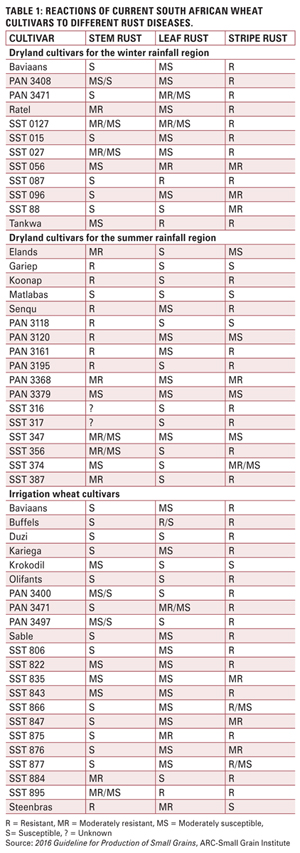 The use of resistant cultivars for control of wheat rusts