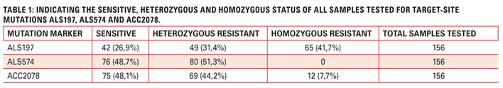 Molecular genotyping of target-site resistant ryegrass: A harsh reality…