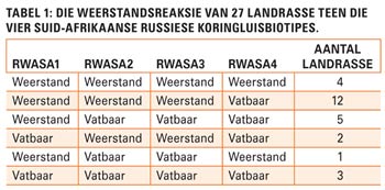 Suid-Afrika: Wêreldleier in Russiese koringluisweerstandbiedende kultivars