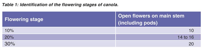 CANOLA – cut Sclerotinia stem rot down to size