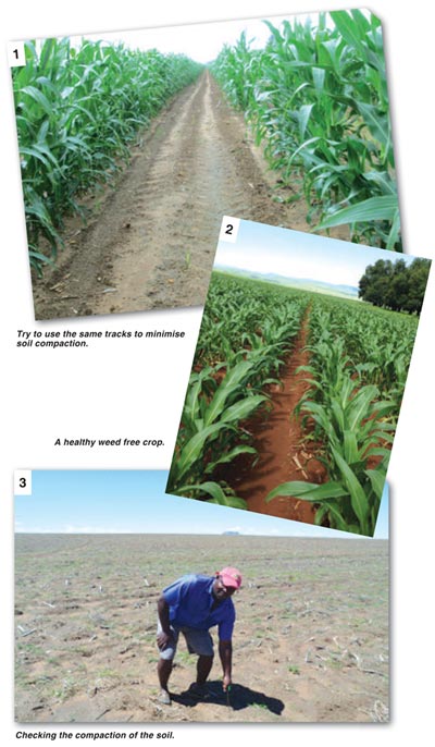 Prevent and alleviate soil compaction