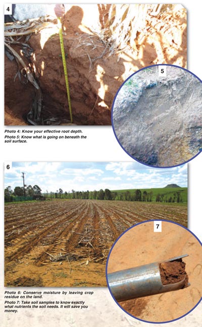 Prevent and alleviate soil compaction