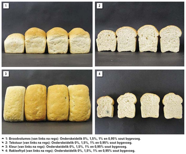 Is jou brood steeds sy sout werd met minder sout?