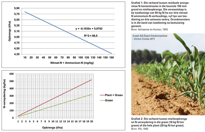 HOE NOU GEMAAK? Kan minder stikstof na afloop van ‘n droë jaar en lae mielieopbrengs in die volgende jaar toegedien word?