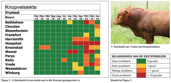 Veterinere dienste in die elektroniese era