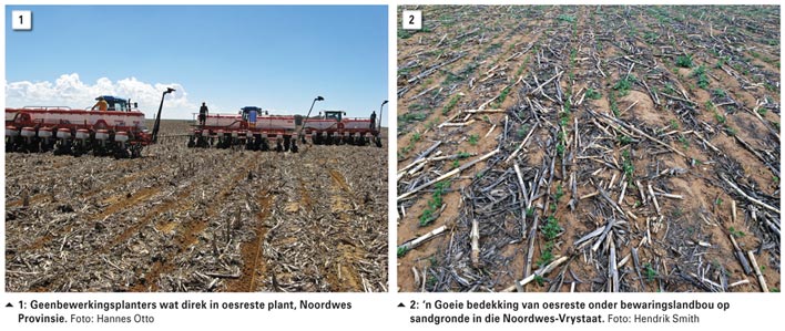 Omgekrapte weerpatrone en verwoestende stofstorms