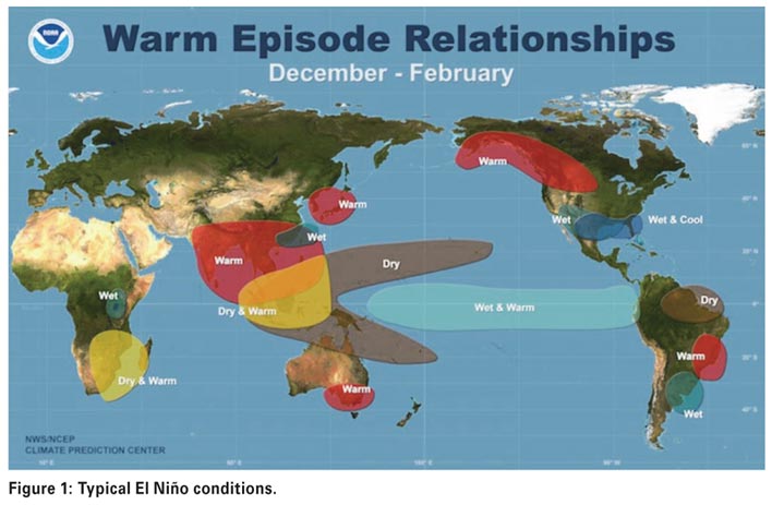 Facing climate variability and change