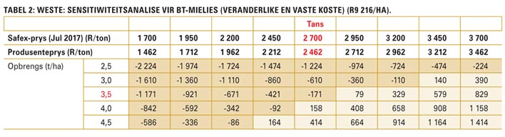 Winsgewendheid van somergraan: Bemarkingsplan essensieel vir nuwe seisoen