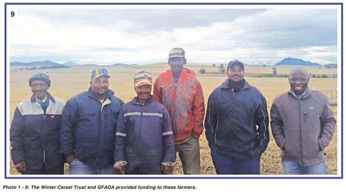 WINTER CEREAL TRUST joins hands with Western Cape New Era farmers