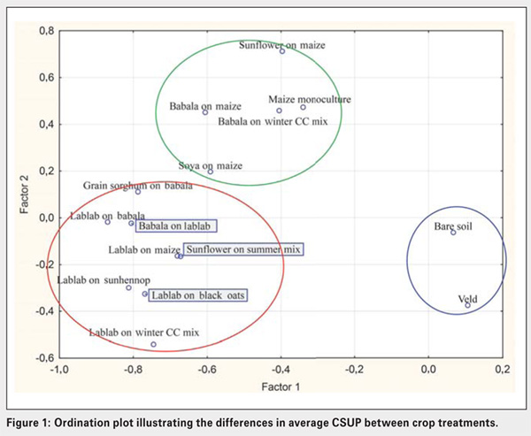 Celebrating the International Year of Soils: Exploring some soil biological indicators