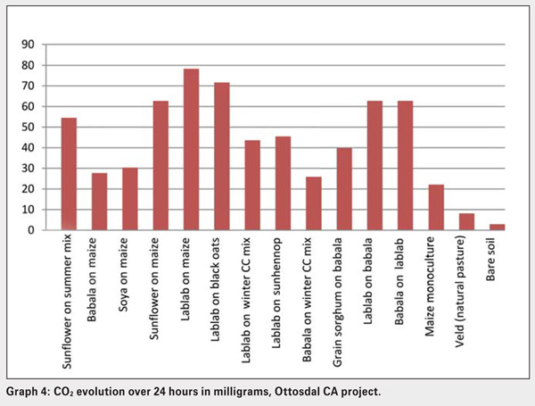 Celebrating the International Year of Soils: Exploring some soil biological indicators